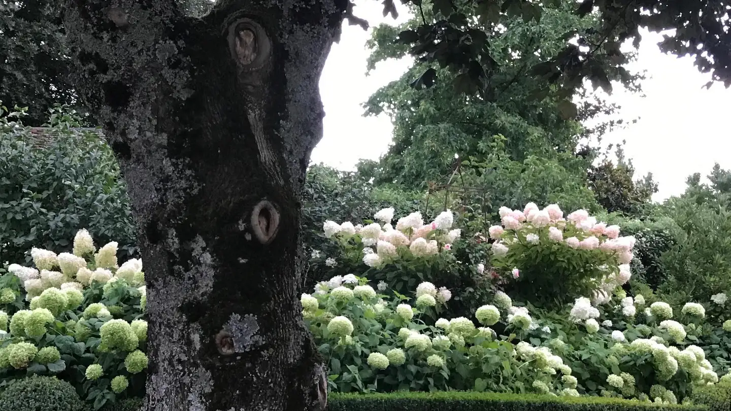 Appartement à louer - Chemin Sous l'Eglise, 1134 Vufflens-le-Château