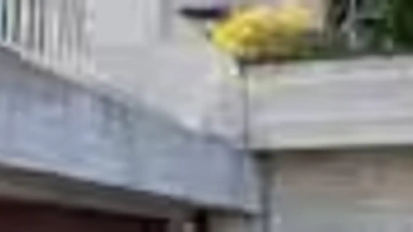 Wohnung mieten - Winkelweg 3, 8127 Forch