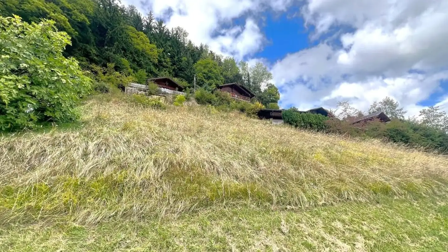 Terrain constructible à vendre - 1899 Torgon