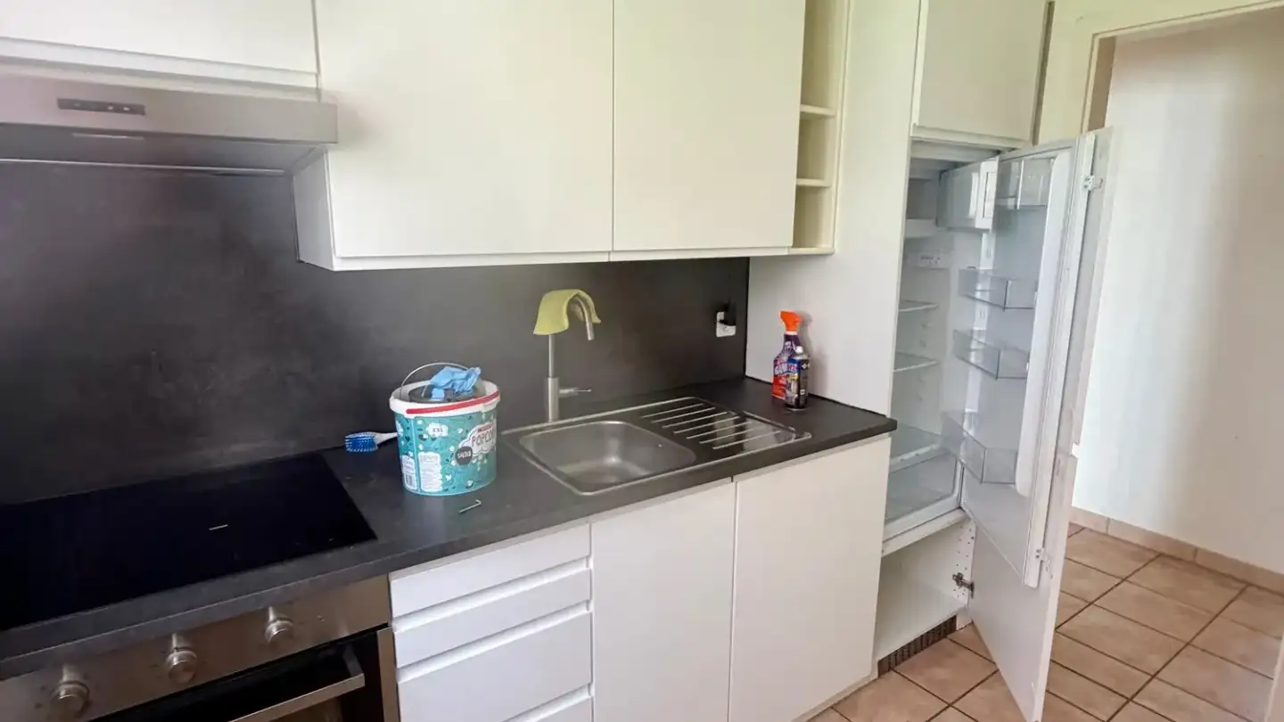Apartment for rent - Dänikerstrasse, 8108 Dällikon - Photo 4