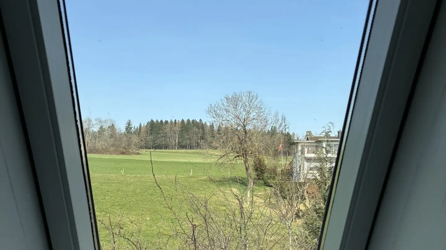 Wohnung mieten - 8127 Forch - Foto 3