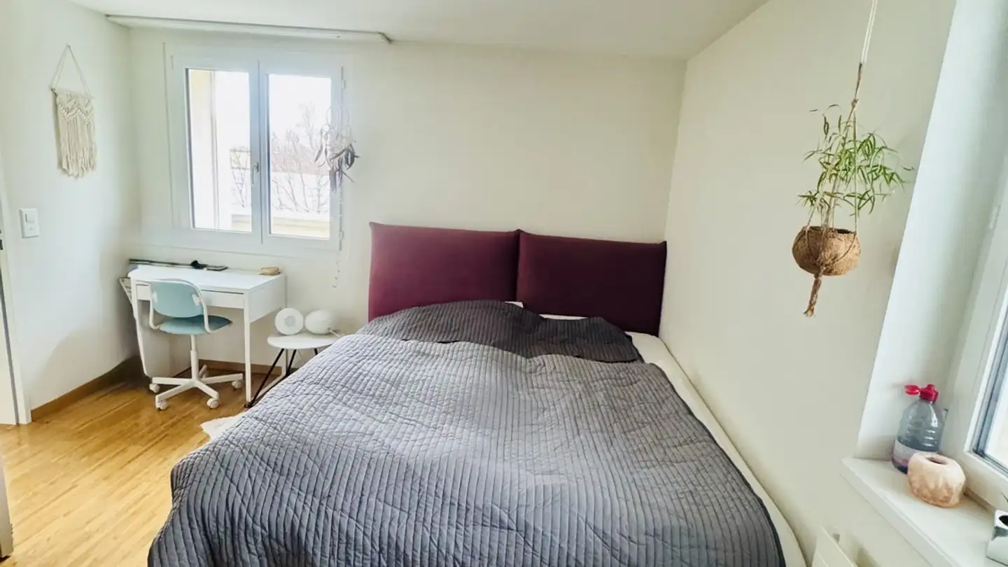 Wohnung mieten - 8049 Zürich - Foto 3