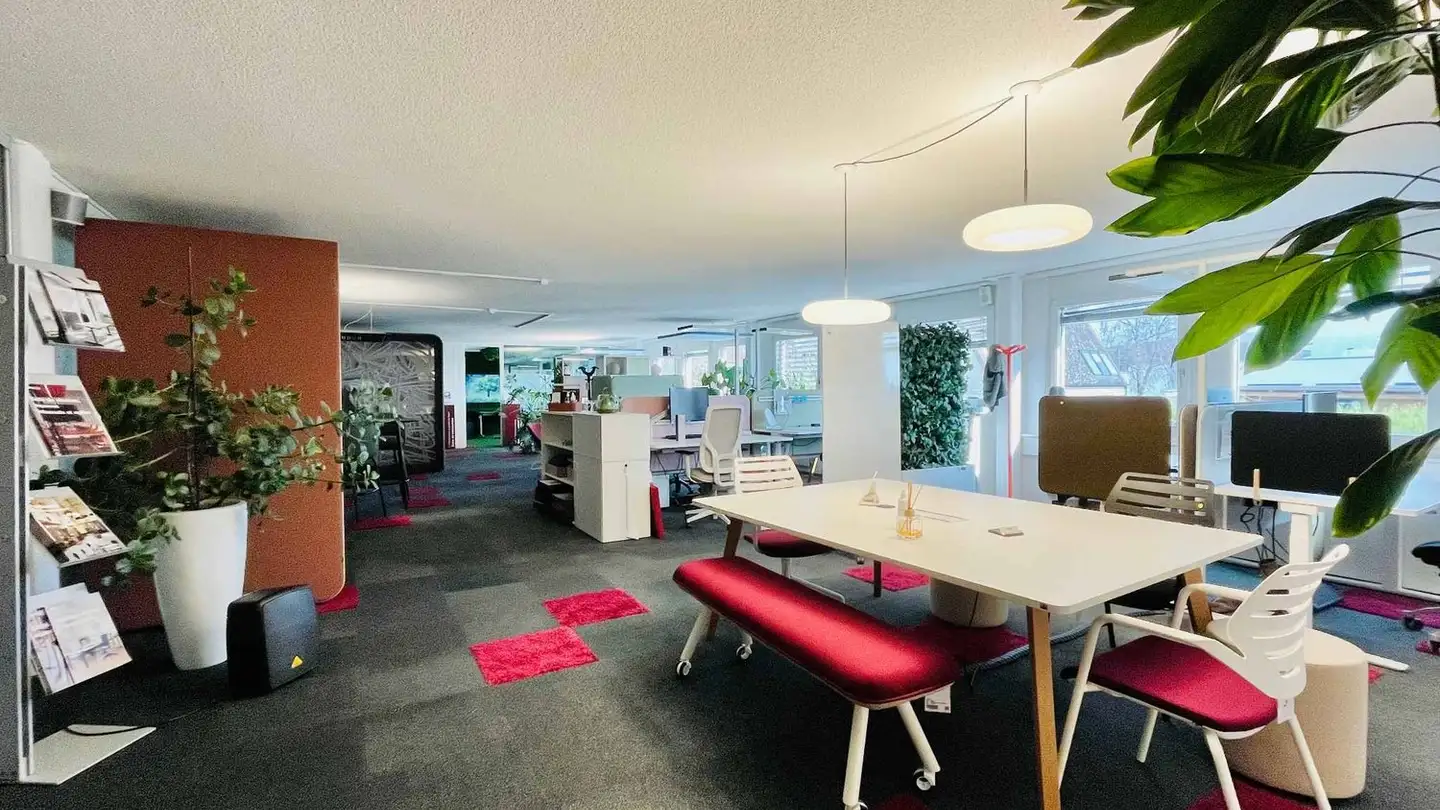 Gewerbe mieten - 1018 Lausanne - Foto 2