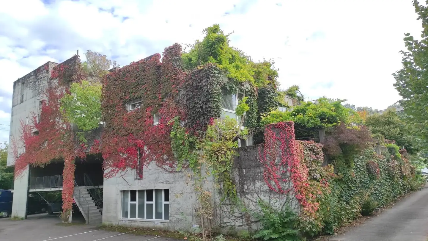 Appartamento in affitto - Neueneggstrasse 6, 3175 Flamatt