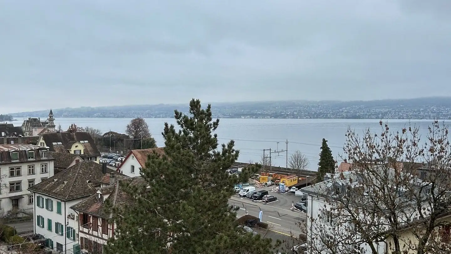 Duplex à louer - Reblaubenweg 4a, 8820 Wädenswil