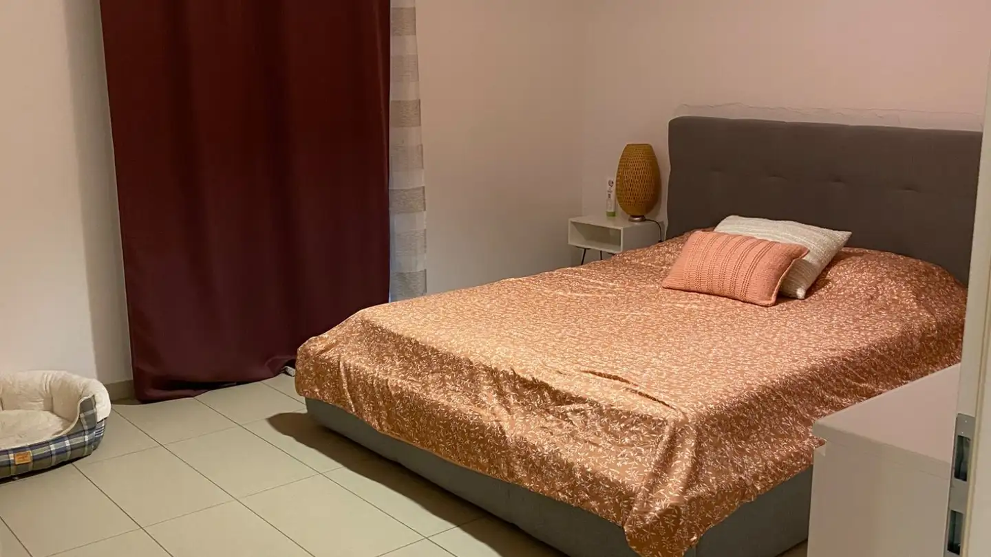 Appartamento in affitto - Via Ronchetti 22, 6518 Gorduno - Photo 4