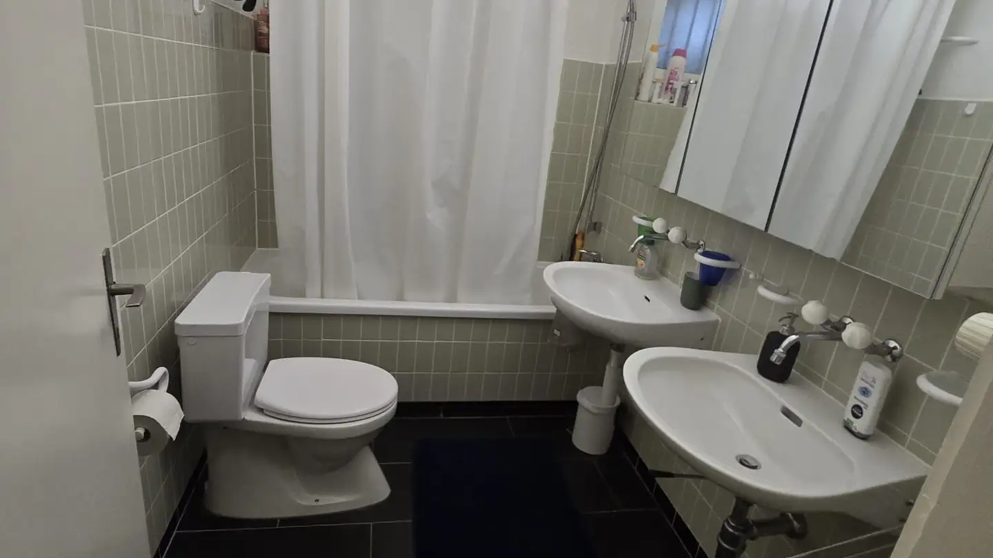 Stanza singola in affitto - Am Oeschbrig 23, 8053 Zürich - Foto 3