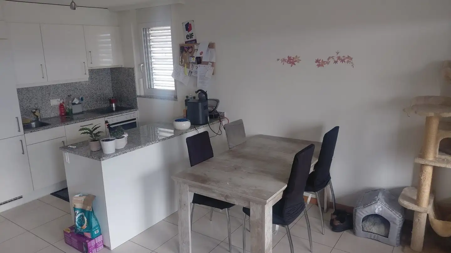 Appartement à louer - Via Al Crespo 2, 6596 Gordola