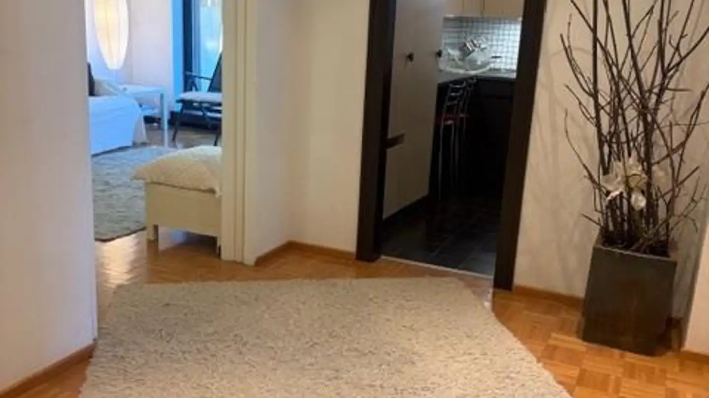 Appartamento ammobiliato in affitto - 6900 Lugano