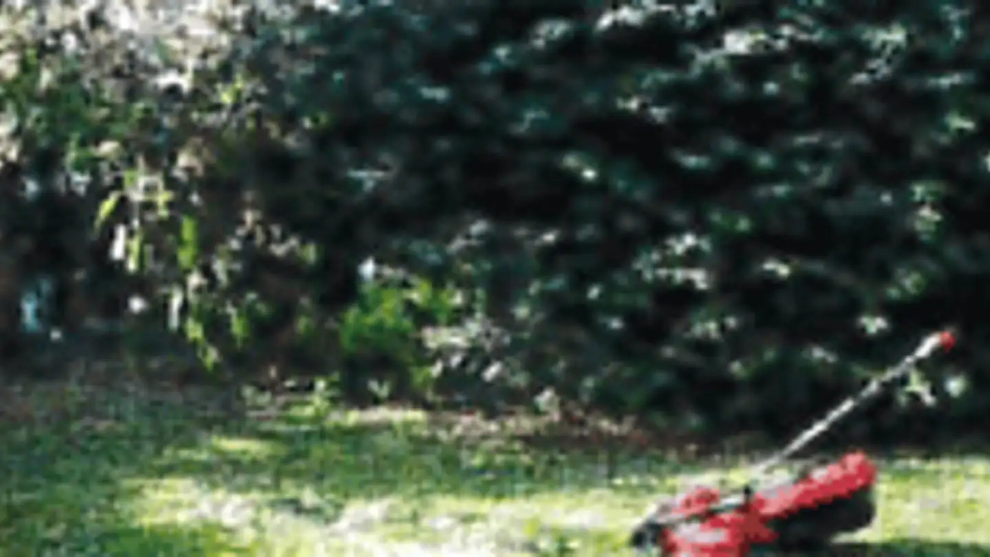 Casa a schiera in affitto - Dahliaweg 7, 3004 Bern - Foto 4