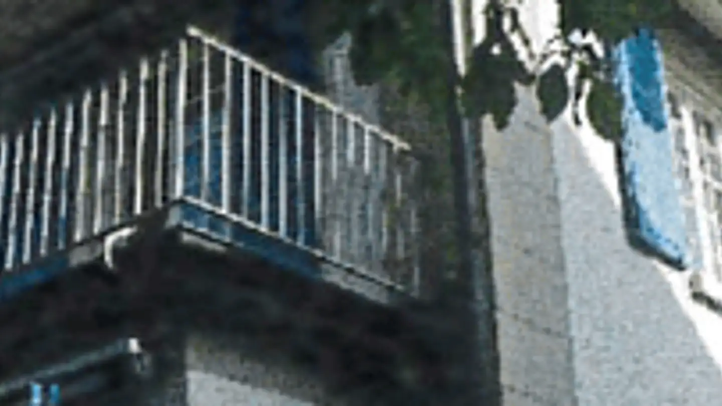 Casa a schiera in affitto - Dahliaweg 7, 3004 Bern - Foto 2