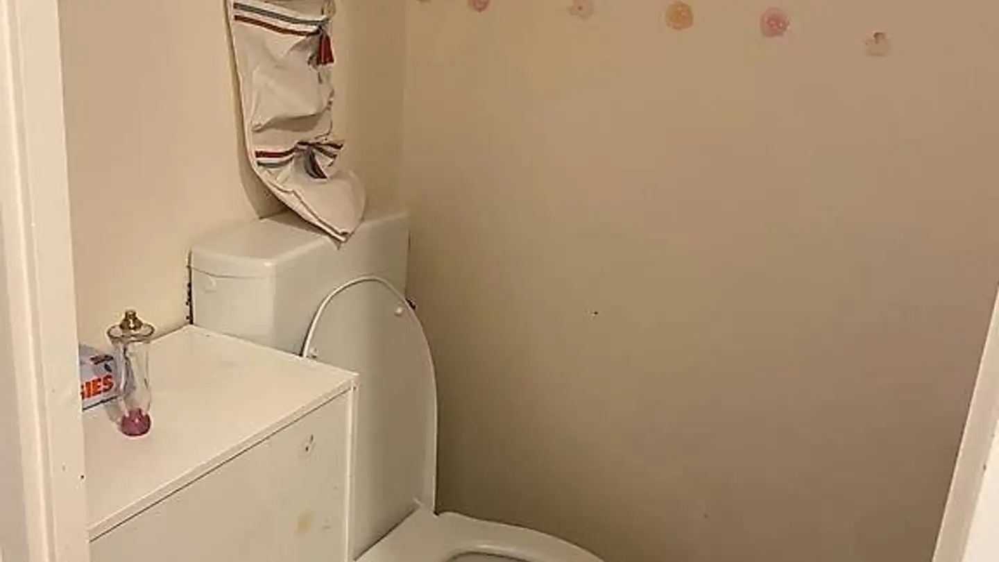 Appartamento in affitto - Chemin De Trèfle-Blanc 16, 1228 Plan-les-Ouates - Foto 3