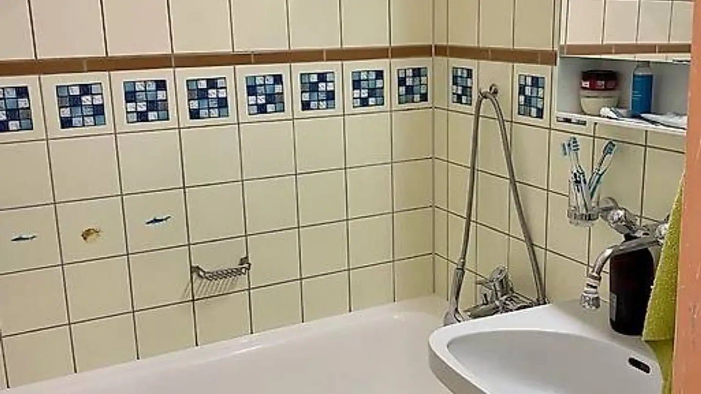Appartamento in affitto - Chemin De Trèfle-Blanc 16, 1228 Plan-les-Ouates - Foto 4