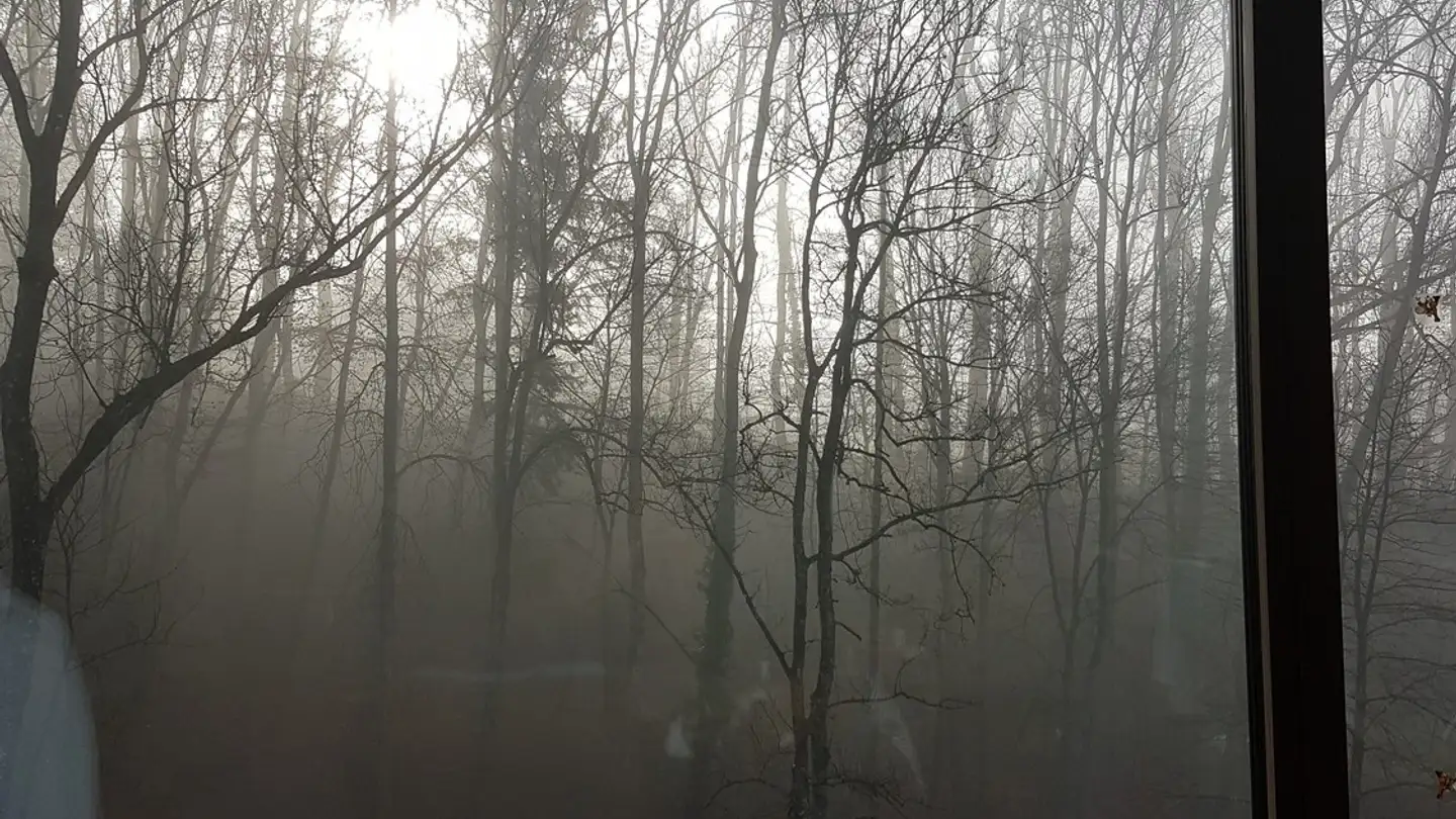 Appartement à louer - Aathalstrasse 64, 8610 Uster - Photo 4