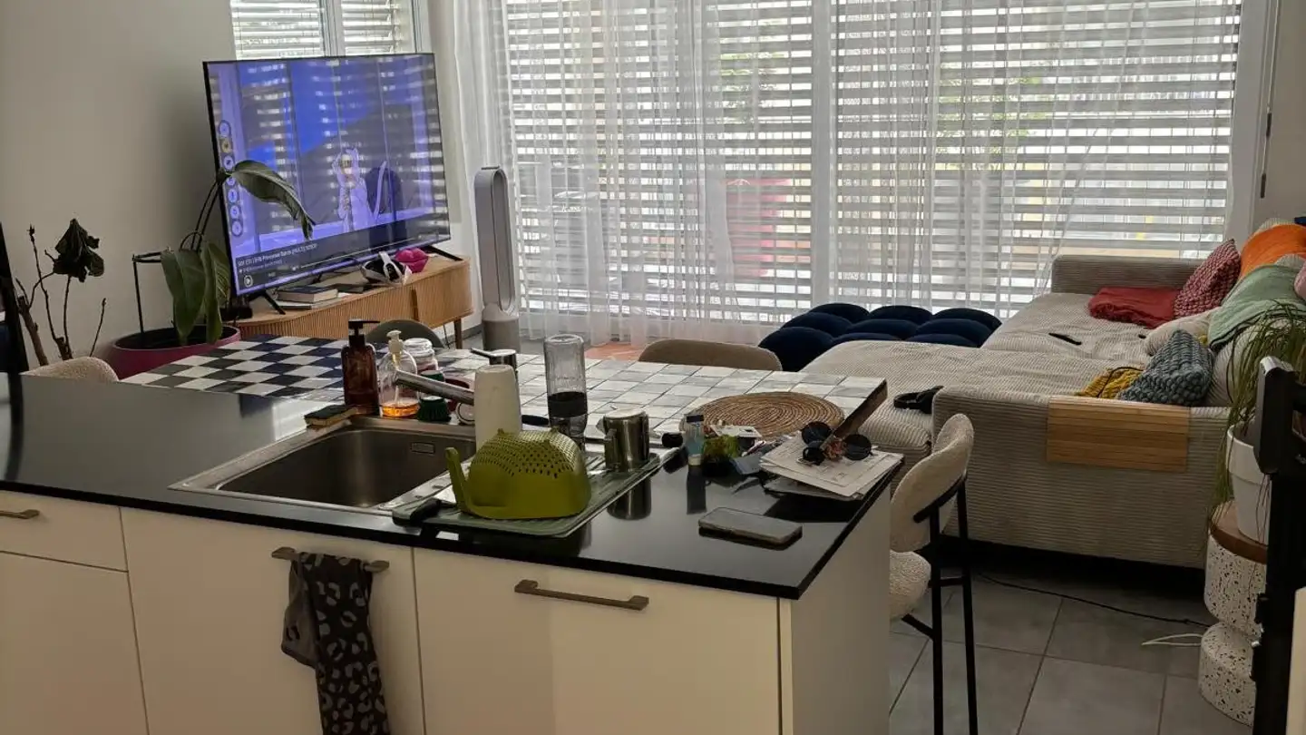Apartment for rent - Chemin Falconnier 33, 1260 Nyon - Photo 3