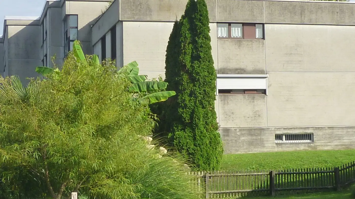 Appartement à vendre - Schachenstrasse 14b, 9430 St. Margrethen SG - Photo 2