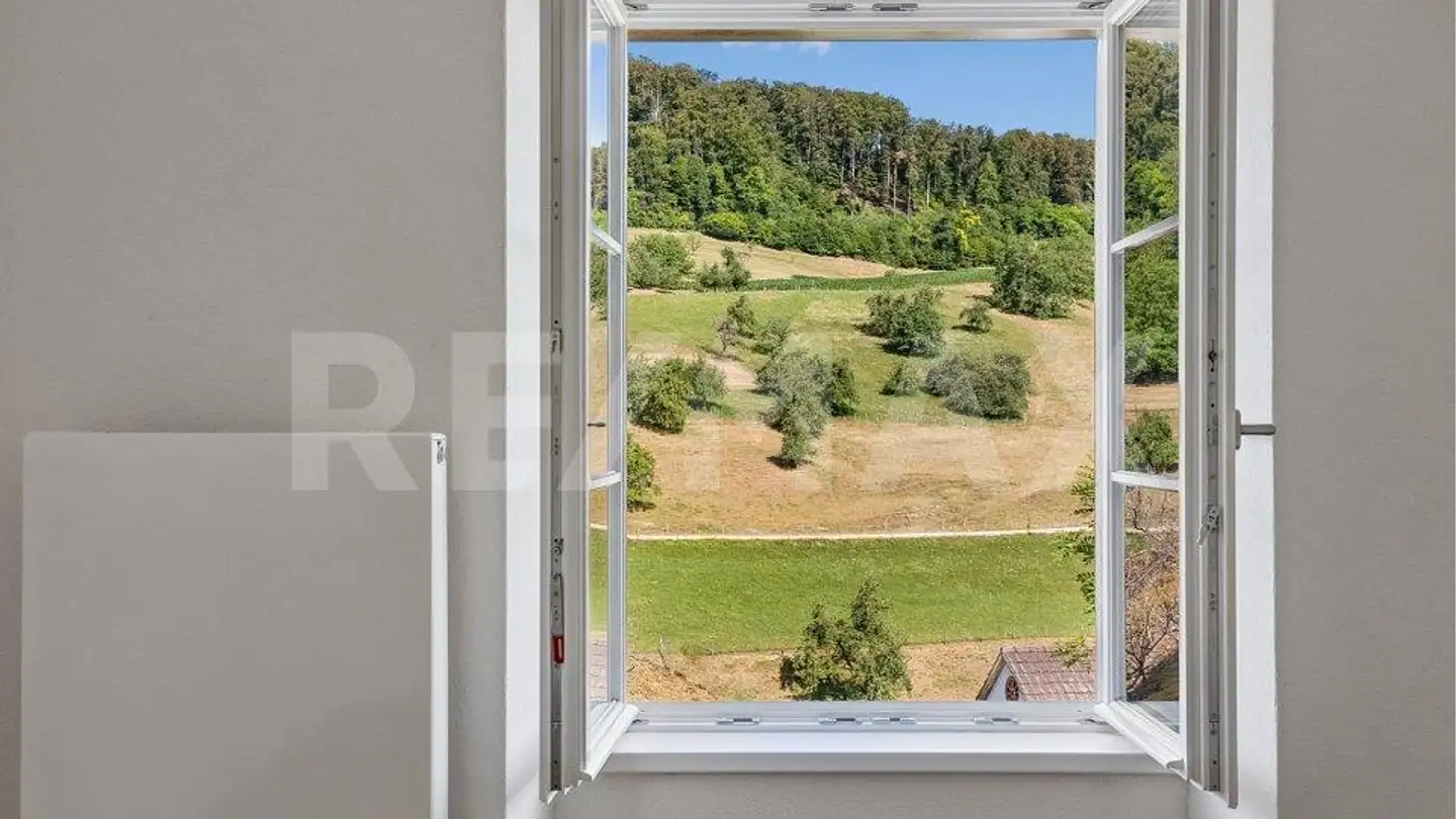 Einfamilienhaus kaufen - Winterhalde 24, 4451 Wintersingen - Foto 2