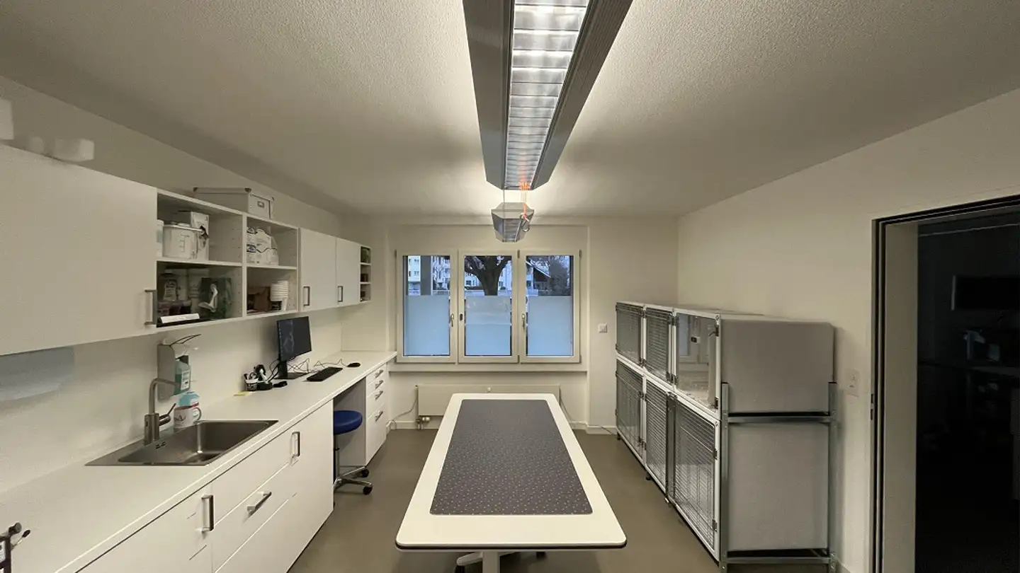 Medical practice for rent - Sihlquai 10, 8134 Adliswil - Photo 4