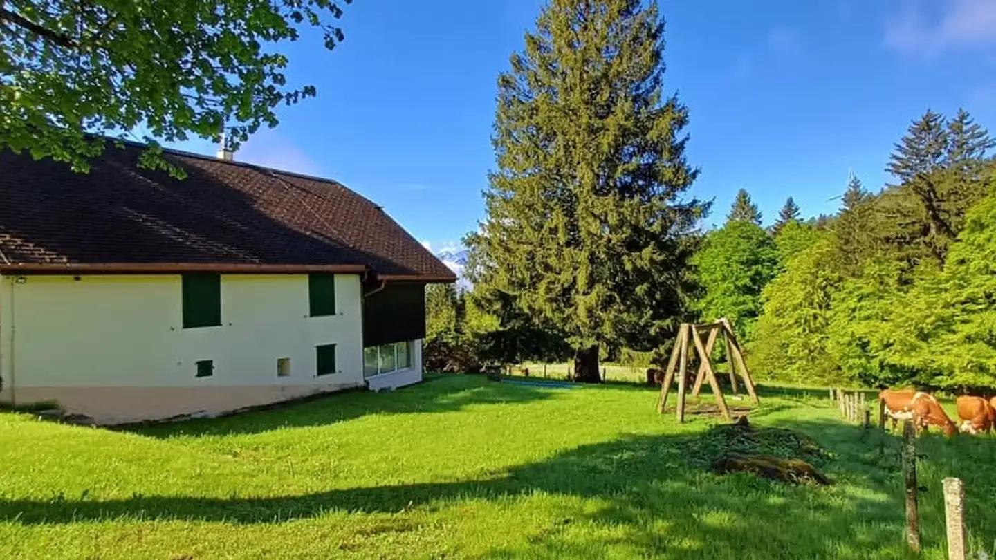 Einfamilienhaus kaufen - 1832 Villard-sur-Chamby - Foto 2