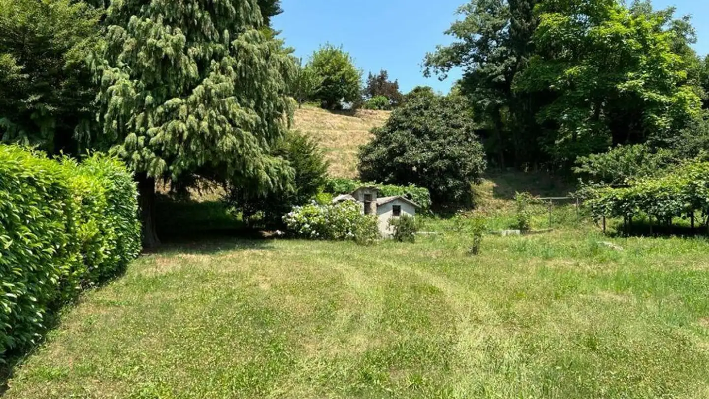 Terreno edificabile in vendita - Strada Regina, 6832 Pedrinate - Photo 3