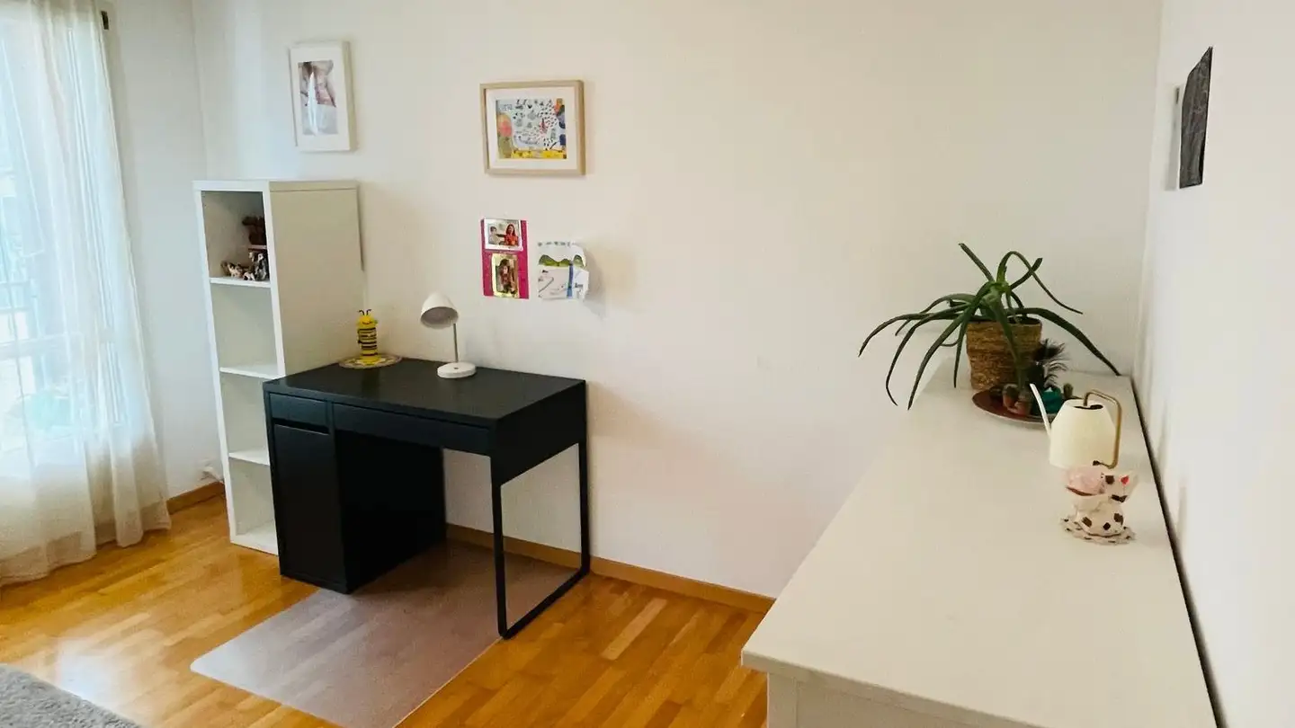 Appartamento in affitto - Im Tiergarten 2, 8055 Zürich - Foto 2