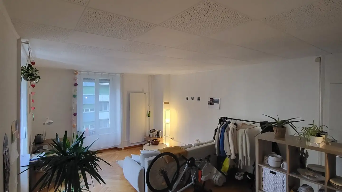 Stanza singola in affitto - 1700 Fribourg - Foto 2