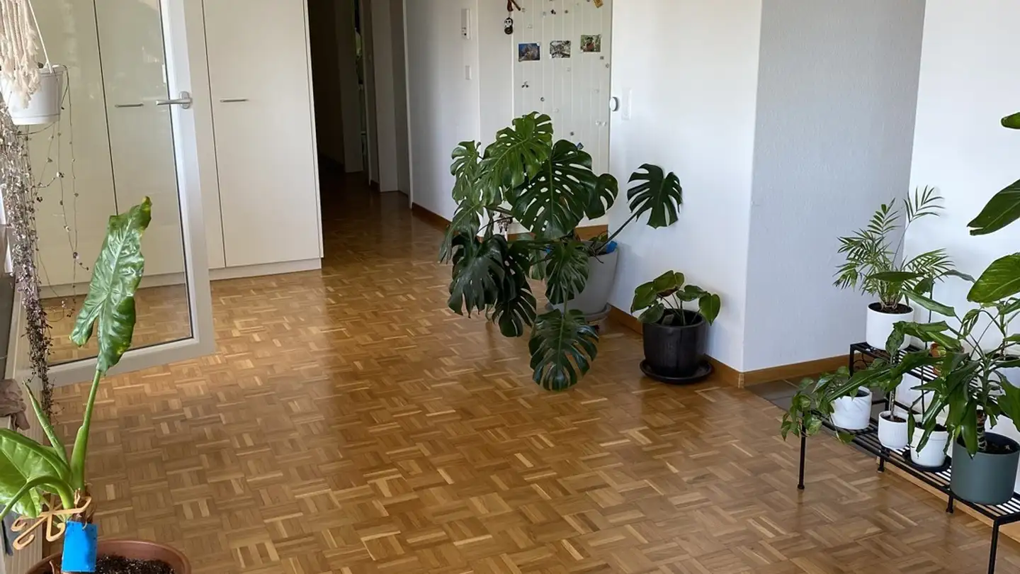 Zimmer mieten - Alte Hedingerstrasse 25B, 8910 Affoltern am Albis