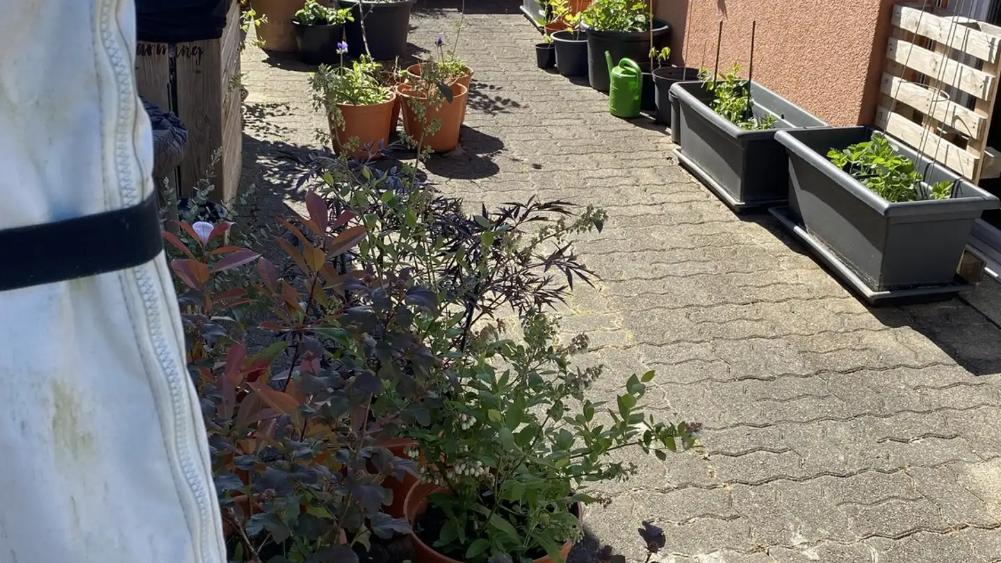 Zimmer mieten - Alte Hedingerstrasse 25B, 8910 Affoltern am Albis - Foto 4