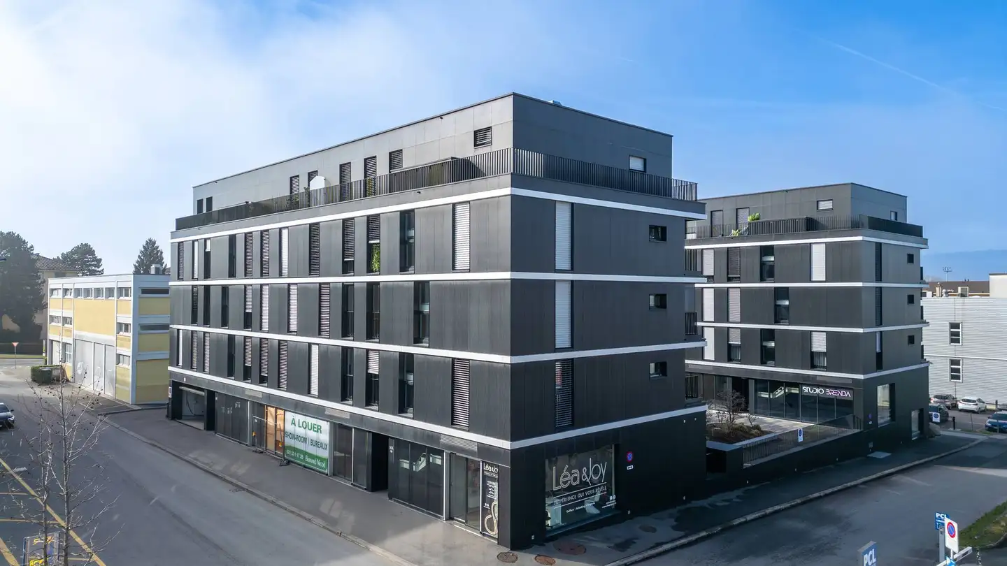 Commercial for rent - Rue Du Marais 3, 1020 Renens VD
