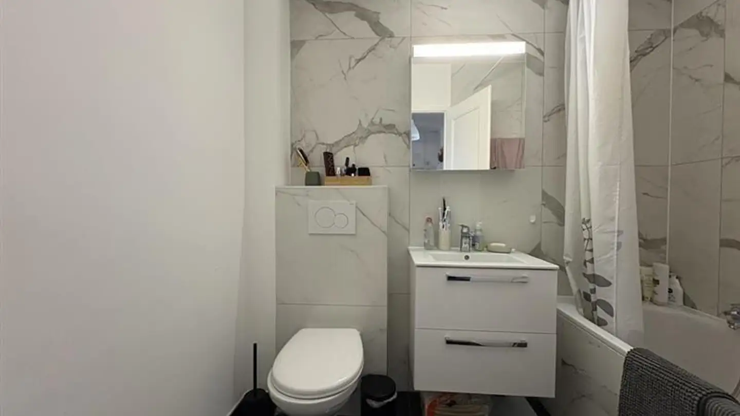 Appartamento in affitto - Avenue Ernest- Pictet 2, 1203 Genève - Foto 4