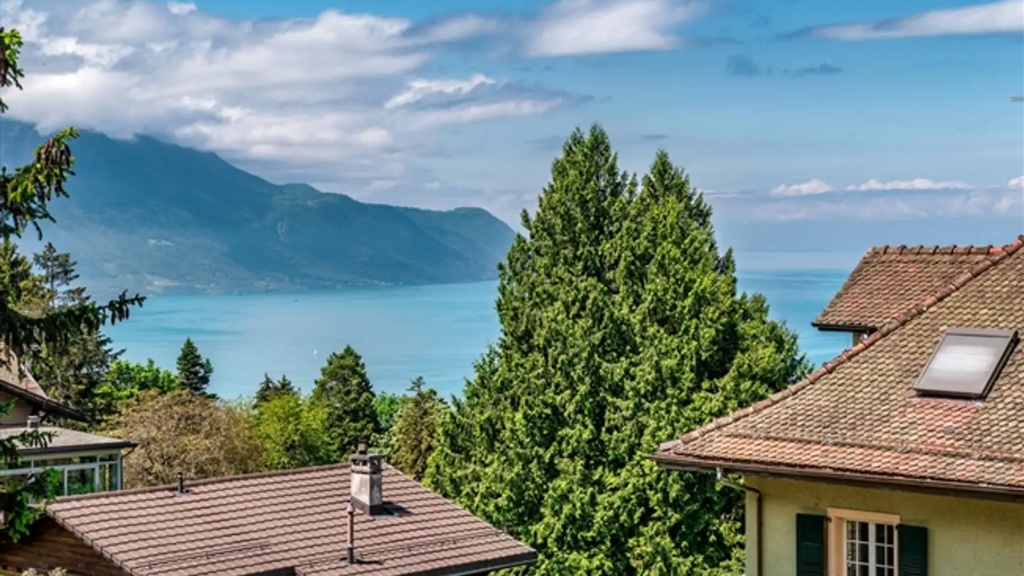 Casa singola in vendita - 1823 Glion - Photo 3