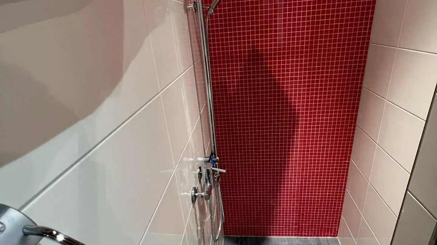 Appartamento in affitto - Balterswilerstrasse 1, 8360 Wallenwil - Foto 2