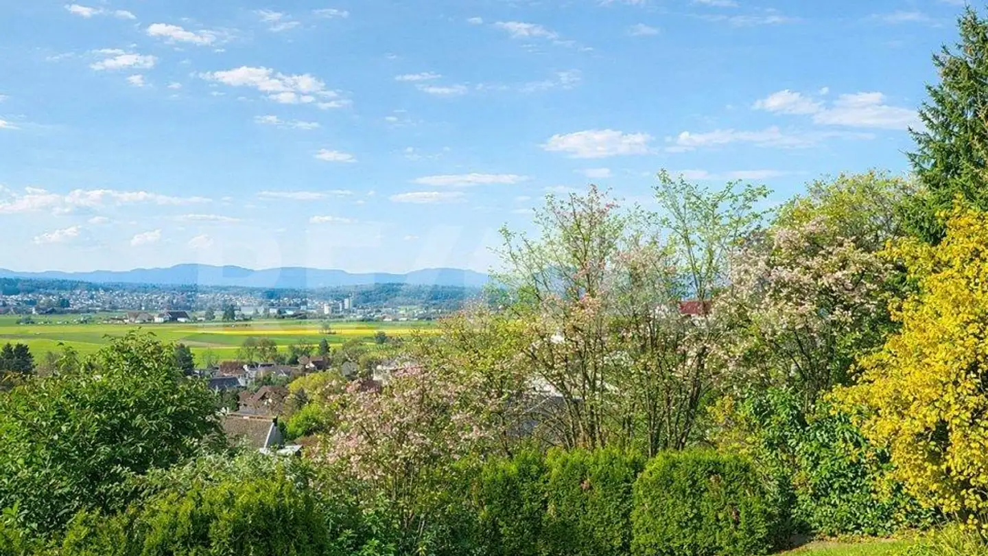 Maison en terrasse à vendre - Blumenweg 11, 5042 Hirschthal - Photo 2