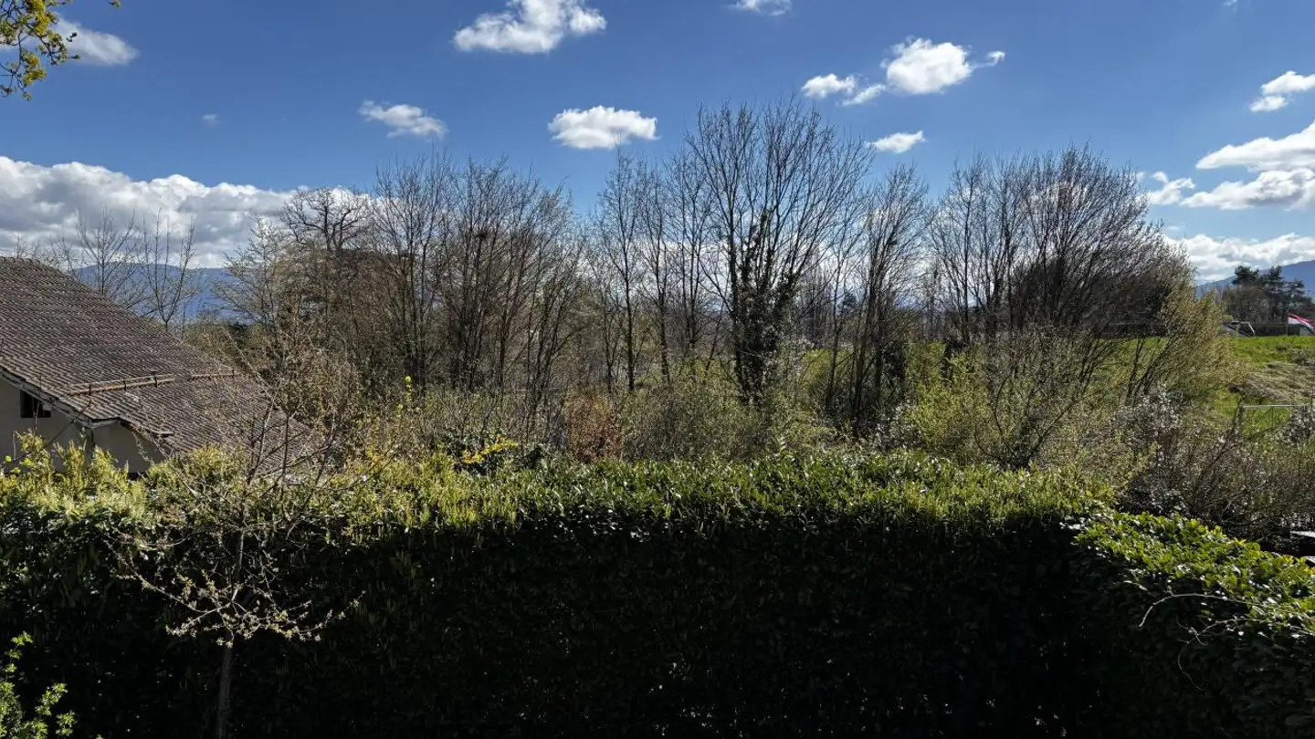 Single house for rent - 1293 Bellevue - Photo 2