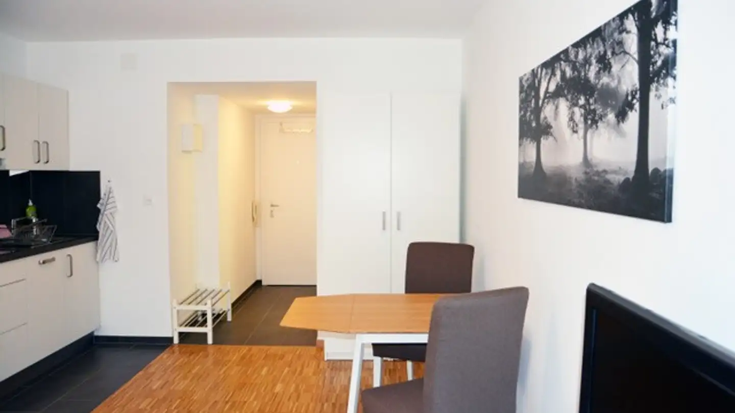 Appartamento in affitto - Holbeinstrasse 77a, 4051 Basel - Foto 3