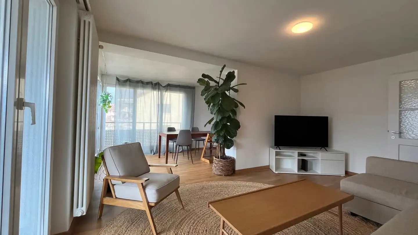 Appartamento in affitto - Biregghang 8, 6005 Luzern