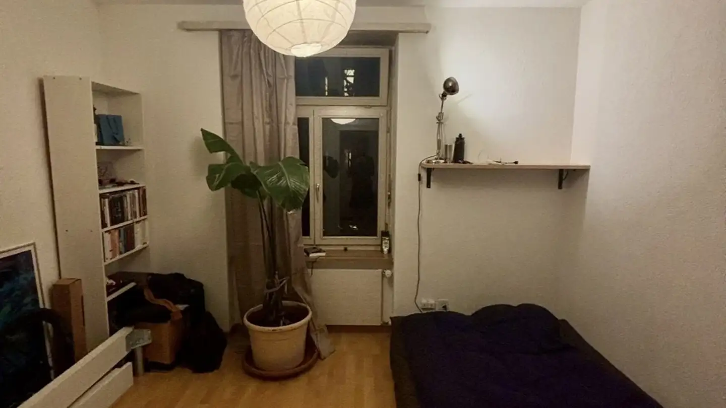 Stanza singola in affitto - Manessestrasse 198, 8045 Zürich