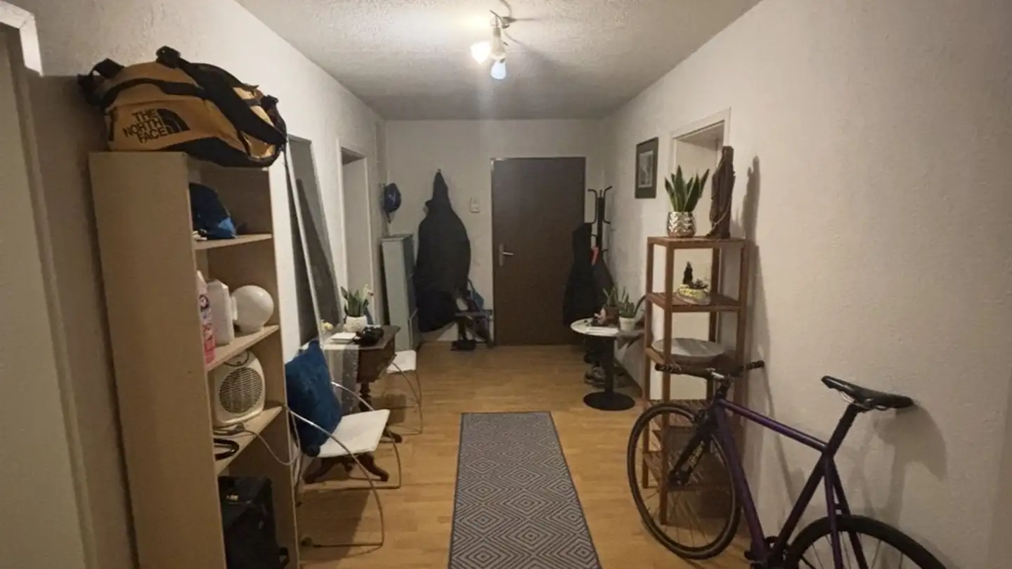 Stanza singola in affitto - Manessestrasse 198, 8045 Zürich - Foto 3