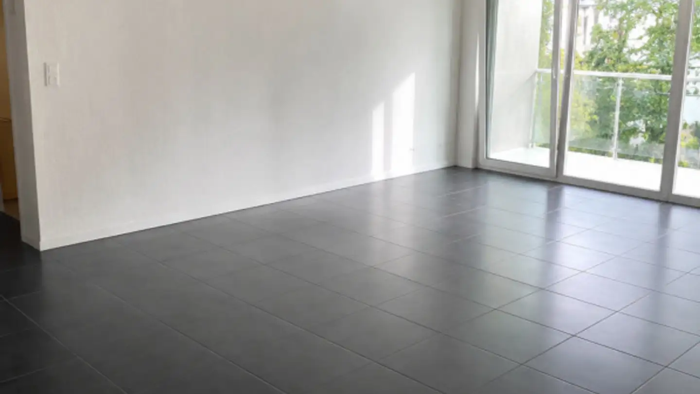 Appartement à louer - Am Mühlebach, 8964 Rudolfstetten - Photo 4