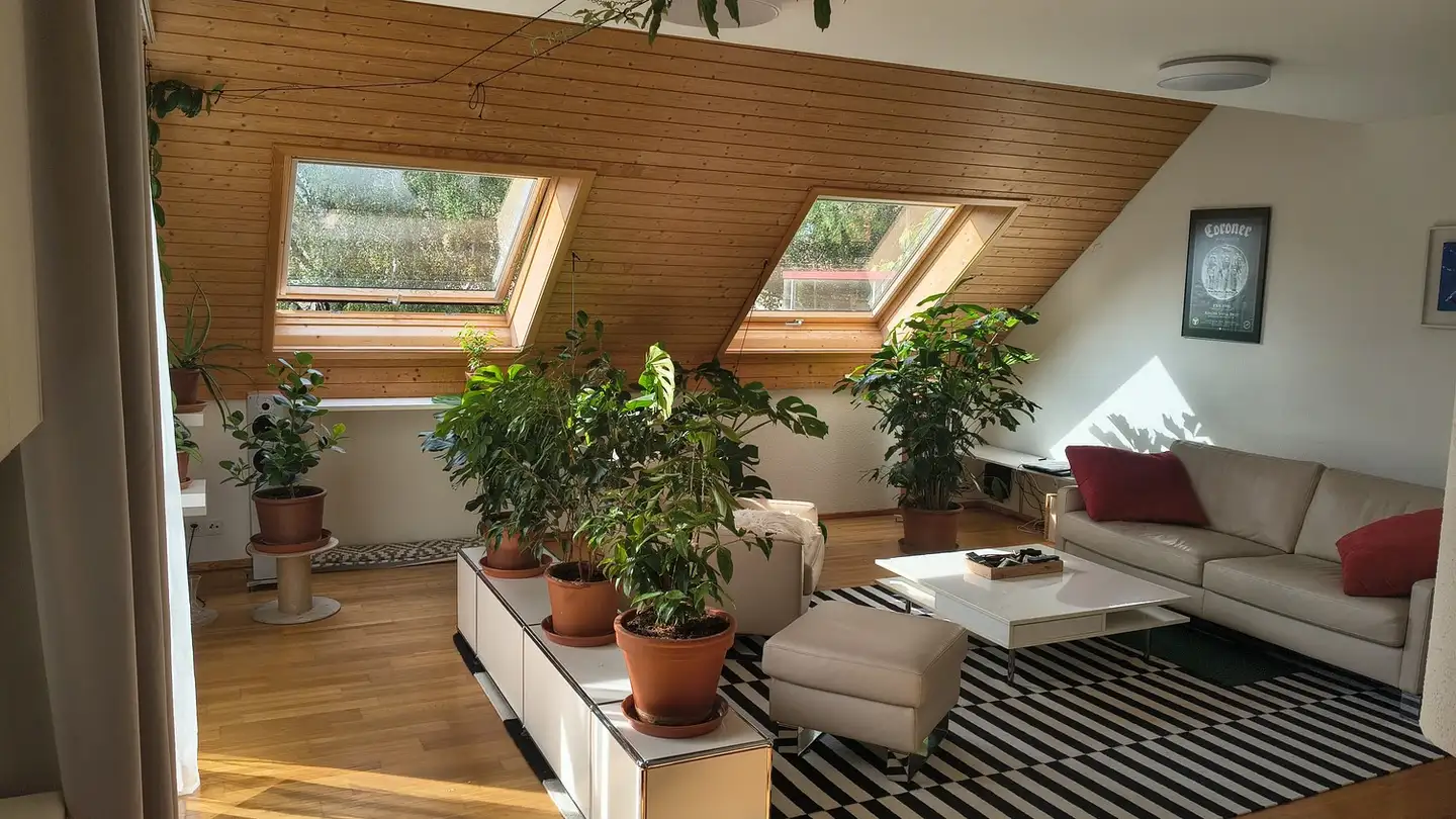 Wohnung mieten - Wiesliacher 93, 8053 Zürich