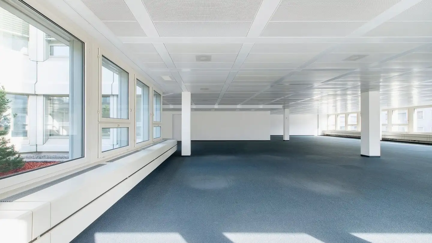 Bürofläche mieten - Buckhauserstrasse 22, 8048 Zürich - Foto 2