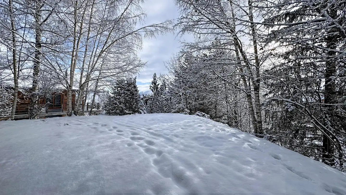 Chalet à vendre - Route D'anzère, 1972 Anzère - Photo 3