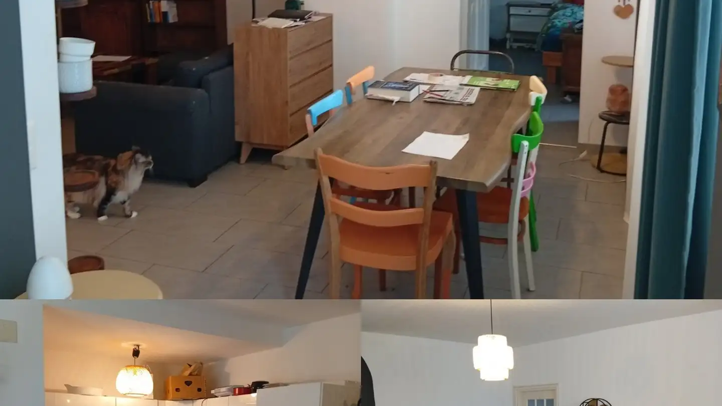 Appartement à louer - Via San Gottardo 10, 6648 Minusio - Photo 3