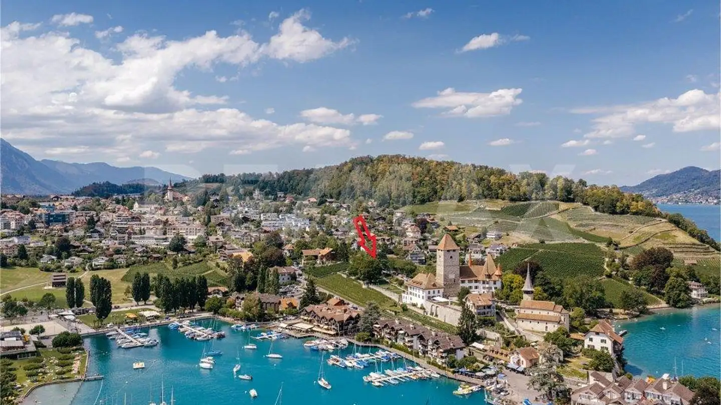 Maison individuelle à vendre - 3700 Spiez - Photo 2