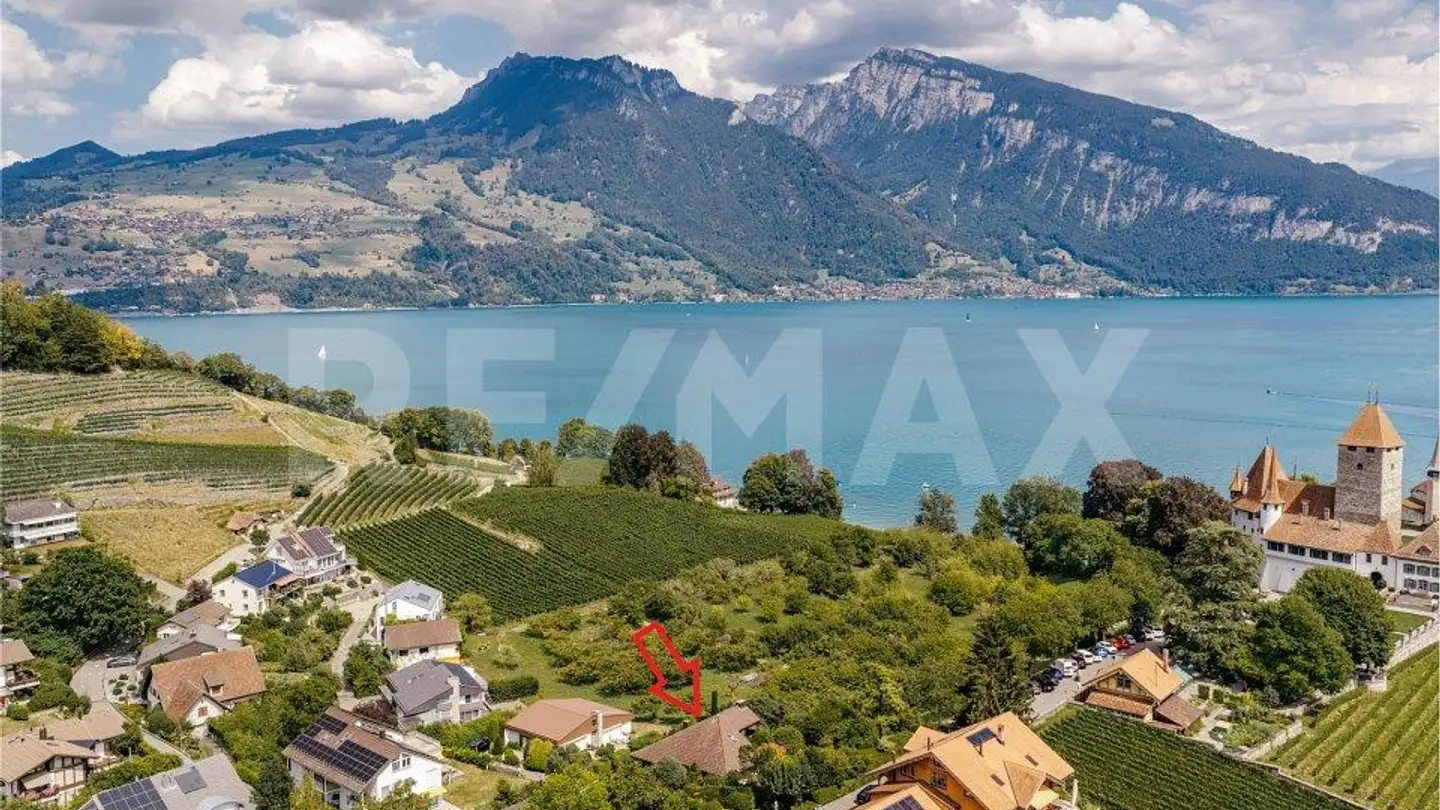 Maison individuelle à vendre - 3700 Spiez - Photo 3