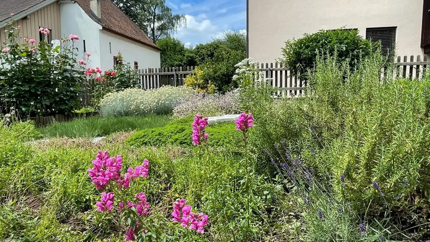 Apartment for rent - Kirchgasse 7, 4450 Sissach - Photo 3