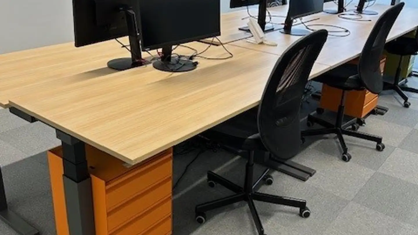 Commerciale in affitto - Chemin Des Ramiers 20, 1022 Chavannes-près-Renens - Foto 2