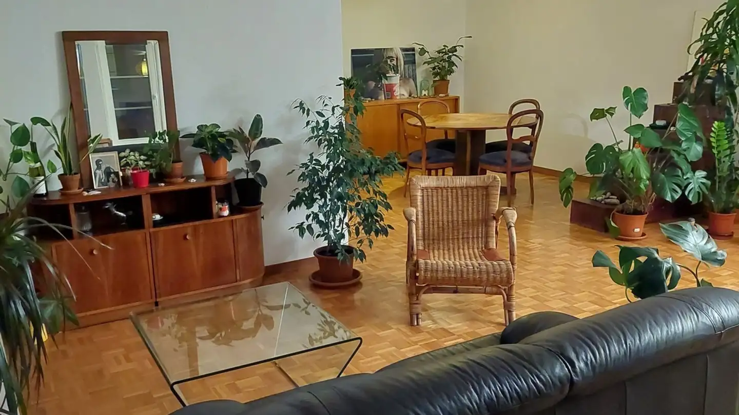 Stanza singola in affitto - 1700 Fribourg