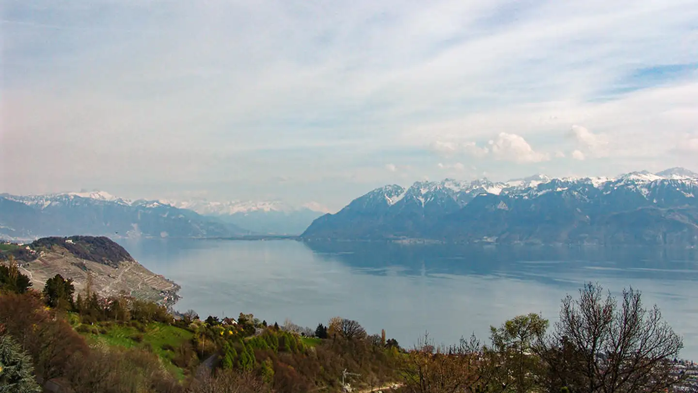 Duplex for sale - 1091 Grandvaux