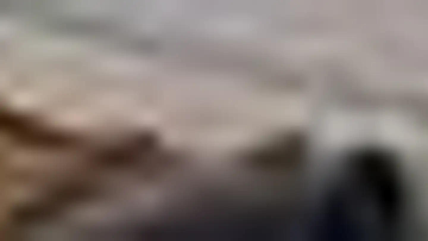 Appartamento in affitto - Hauptstrasse 6, 4242 Laufen - Photo 4